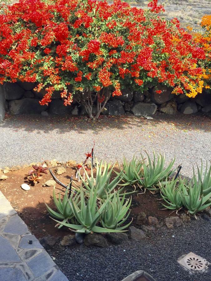 Casa Rural Los Llanos Negros Fuencaliente de la Palma Eksteriør bilde